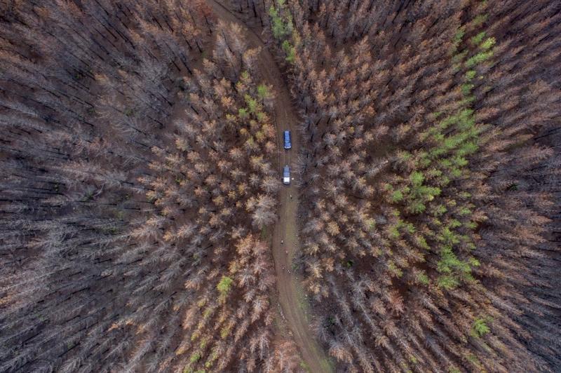 Aerial view of a forest area consumed by a massive fire about 350 kilometres south of Santiago on June 23, 2017. Martin BERNETTI / AFP